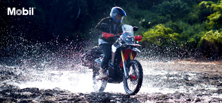 Oli motor