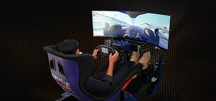 Image F1 simulator